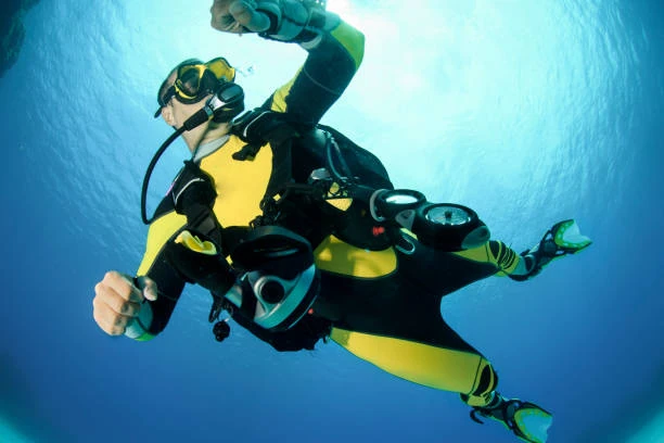 Curso padi em campo belo